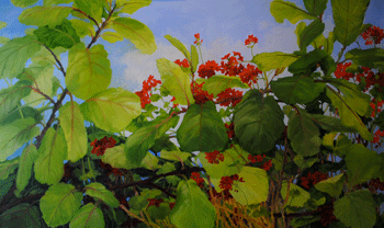 Geraniums with Mantis in my Garden by Alexia Scott
