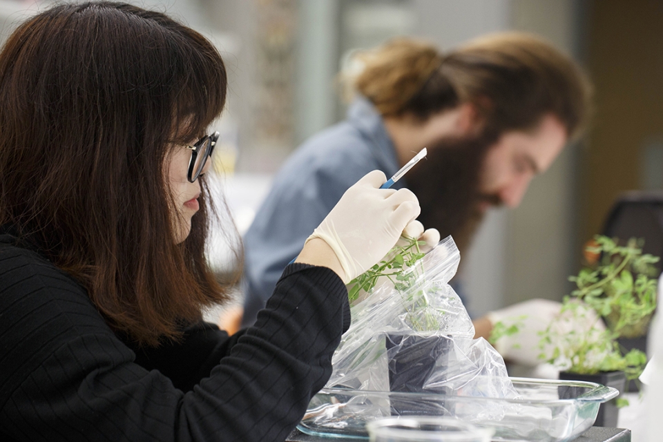 2 students doing research with plants