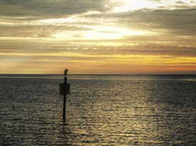 National Wildlife Federation Gulf Oil Spill Restoration Fund